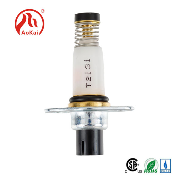Solenoid valflerin gelecekteki gelişme eğilimi hangi form olacak?